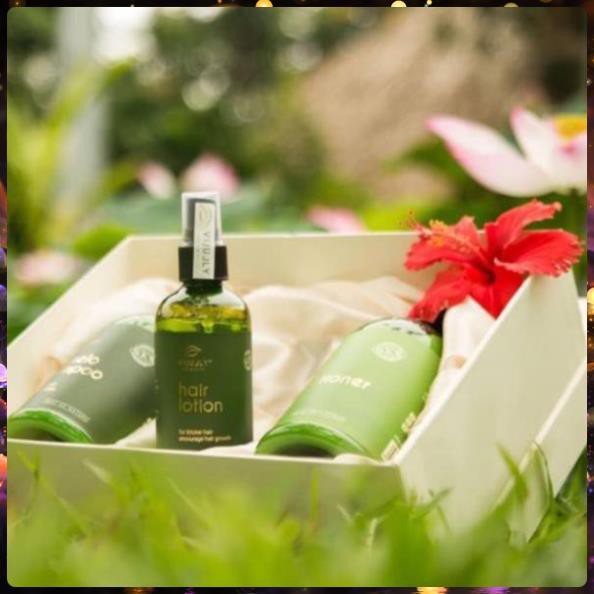 [NGĂN RỤNG 100%] Tinh Dầu Bưởi KÍCH THÍCH MỌC TÓC Vi Jully - Giảm Rụng Tóc- Kích Thích Mọc Tóc -Làm Dài Tóc | BigBuy360 - bigbuy360.vn