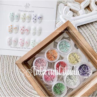 Hoa khô đính móng Set 12 màu