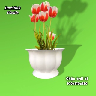 Chậu trái bí trắng kt 17x12cm