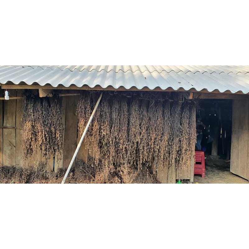 CÂY THẠCH ĐEN CAO BẰNG 500g