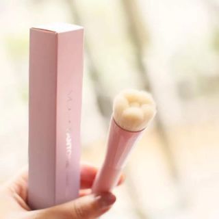 Set cọ VDL Pantone Limited Edition