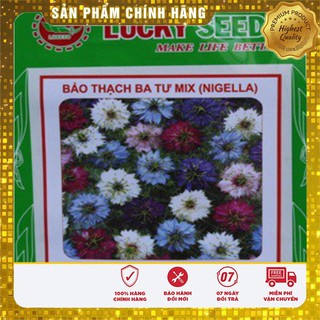 Hạt Giống Hoa Bảo Thạch Ba Tư ( 100 hạt)