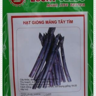 Hạt giống măng tây tím và xanh
