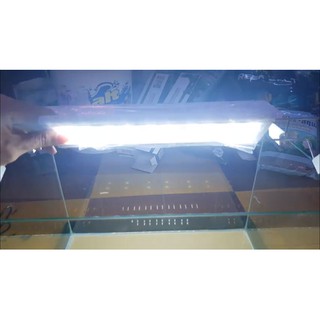 ĐÈN LED MÁNG XML 30cm-6W