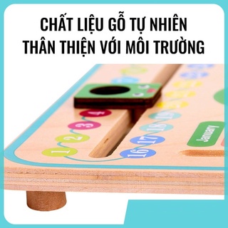 Đồng hồ gỗ con ếch xanh lịch đa năng 7 trong 1 học Tiếng Anh cho trẻ đồ chơi an toàn cho bé TS Kids Shop