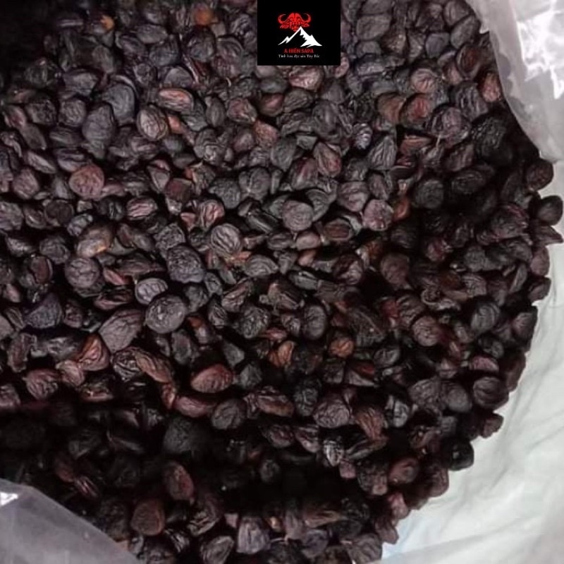 Hạt dổi nếp rừng Sapa loại 10 hạt thơm ngon, dùng ướp nướng gia vị.