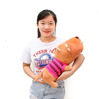 Gấu bông chó puco 40cm cao cấp cực đẹp dễ thương - Hàng VNXK