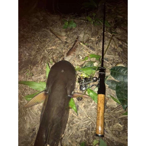 Cần câu lure ul chuyên cảm giác siêu bền