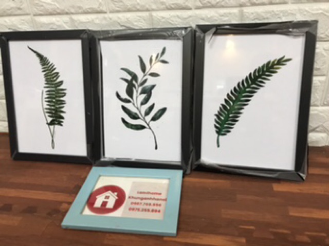 khung ảnh có kính vừa cỡ a4 | BigBuy360 - bigbuy360.vn