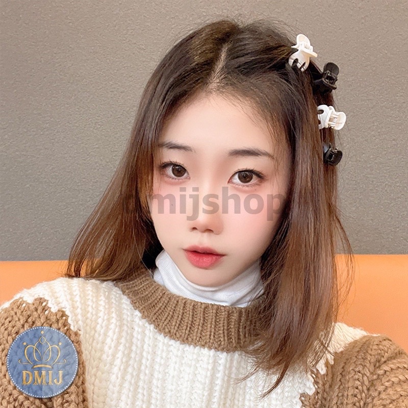 ✨✨HỘP 10 CHIẾC CẶP CÀNG CUA ĐUÔI NGỰA MINI