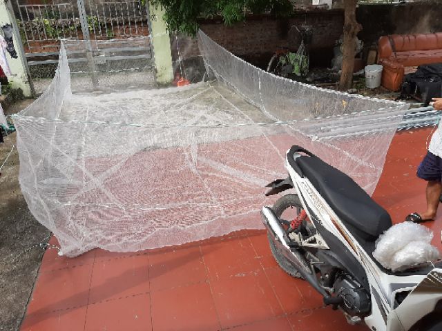Trang lưới nuôi cá bột