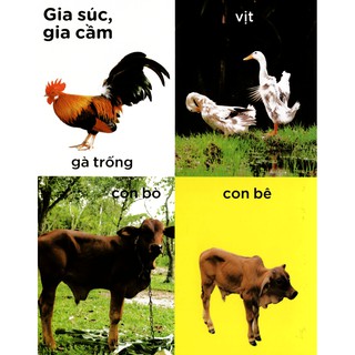 100 Từ Mới - Làng Quê Của Em