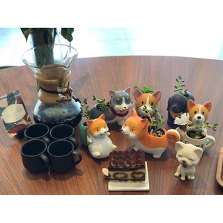 Chậu cây thú hình chó