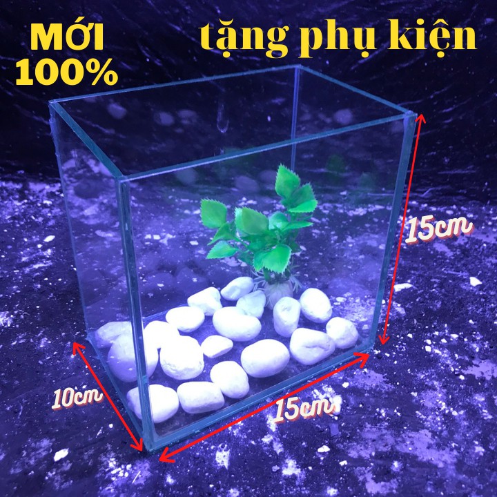 Bể cá mini để bàn 15cm TẶNG KÈM phụ kiện trang trí