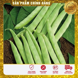 Hạt giống đậu trạch lai dễ trồng năng suất goi 50 gram