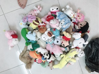 Gấu si giá rẻ ( Mai)