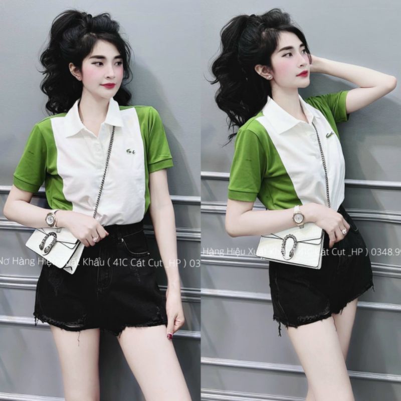 BÁN SỈ - ÁO POLO LACOSSSS HOT HITTT NỮ RẺ ĐẸP