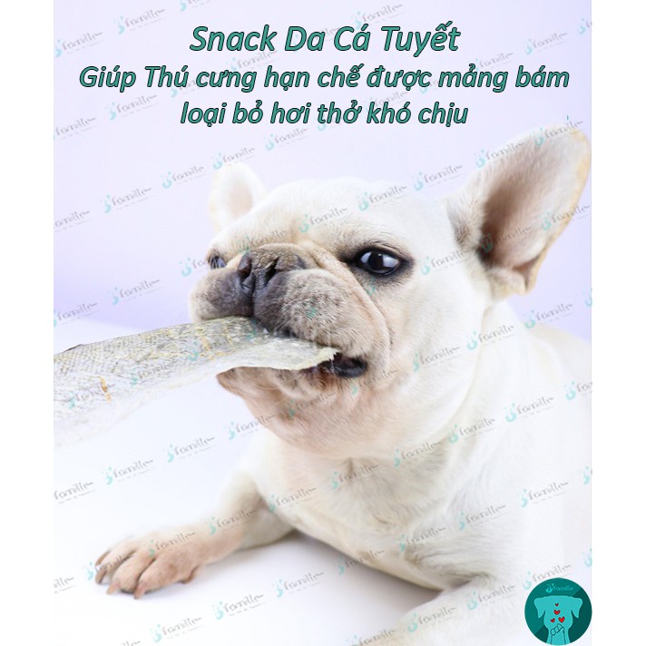 [GIÒN & DAI]Snack Da Cá Tuyết Đại Dương, 100% Từ Cá Tươi Được Chế Biến Trực Tiếp. Bổ Sung Collagen & Omega3. JF107