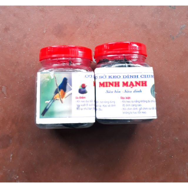 Keo dính chim siêu siêu dính