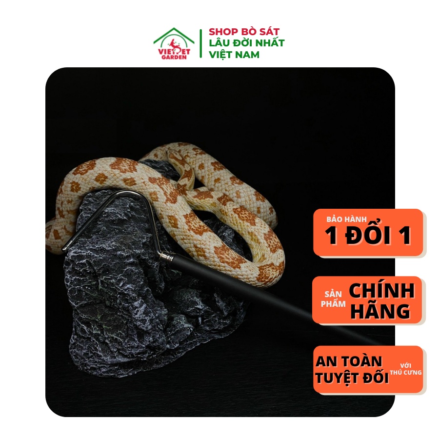 Cây móc rắn, cây móc dành cho bò sát | Vietpetgarden