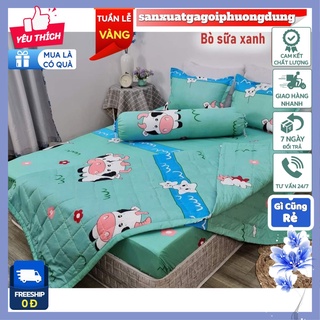 Bộ ga gối 3 món 1m2x2m,1m6x2m