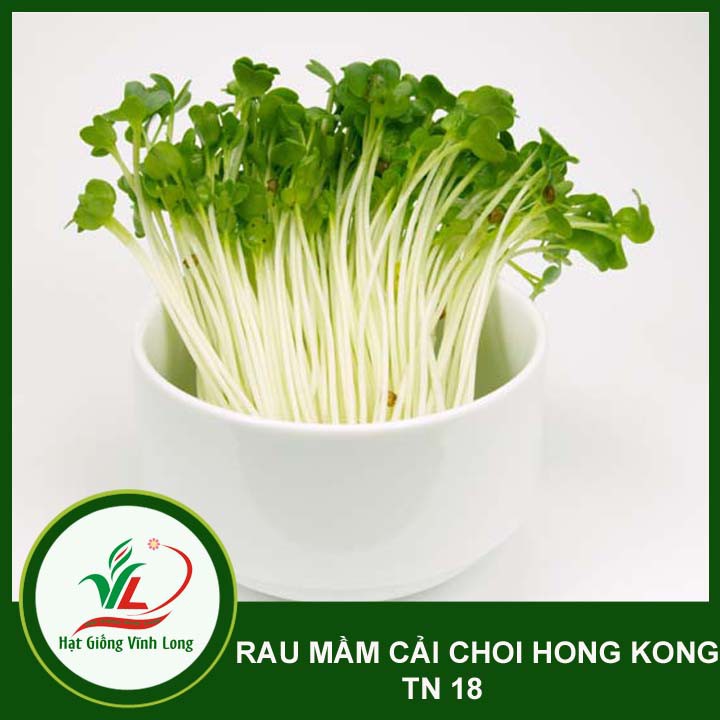 Hạt giống rau Mầm cải choi Hong Kong TN 18 - 20g