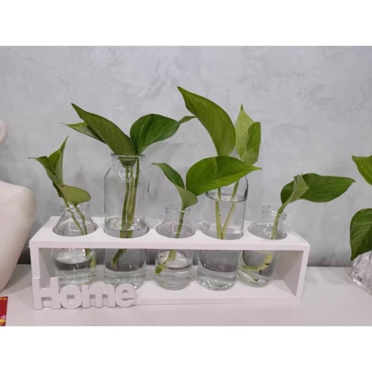 Lọ Hoa Khung Gỗ Chữ Home Bày Bàn Độc Đáo  Cao Cấp