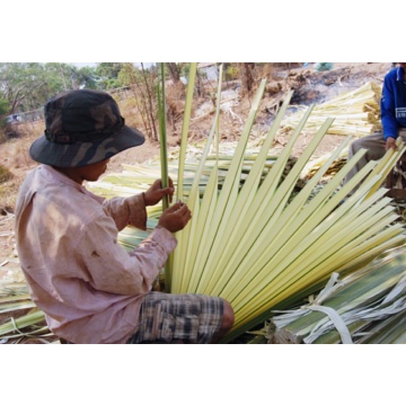 Đũa cây buông (càng dùng lâu càng bóng đẹp)