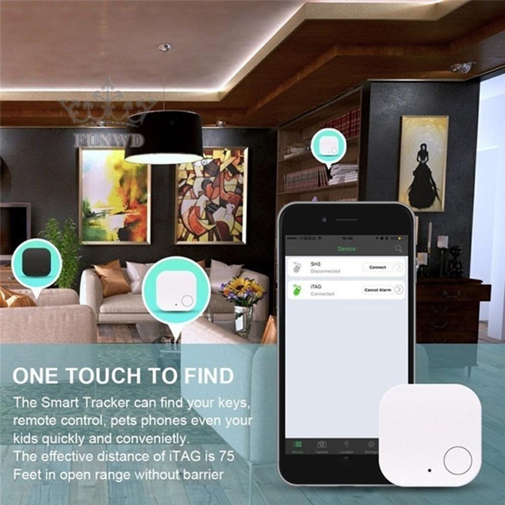 Thiết Bị Định Vị Thời Gian Thực Cho Thú Cưng