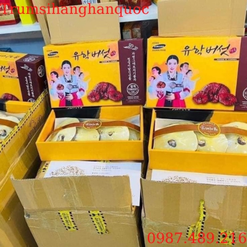 1kg nấm linh chi vàng chanh hộp cô gái Hàn Quốc[ nấm linh chi vàng chanh chuẩn hàn]