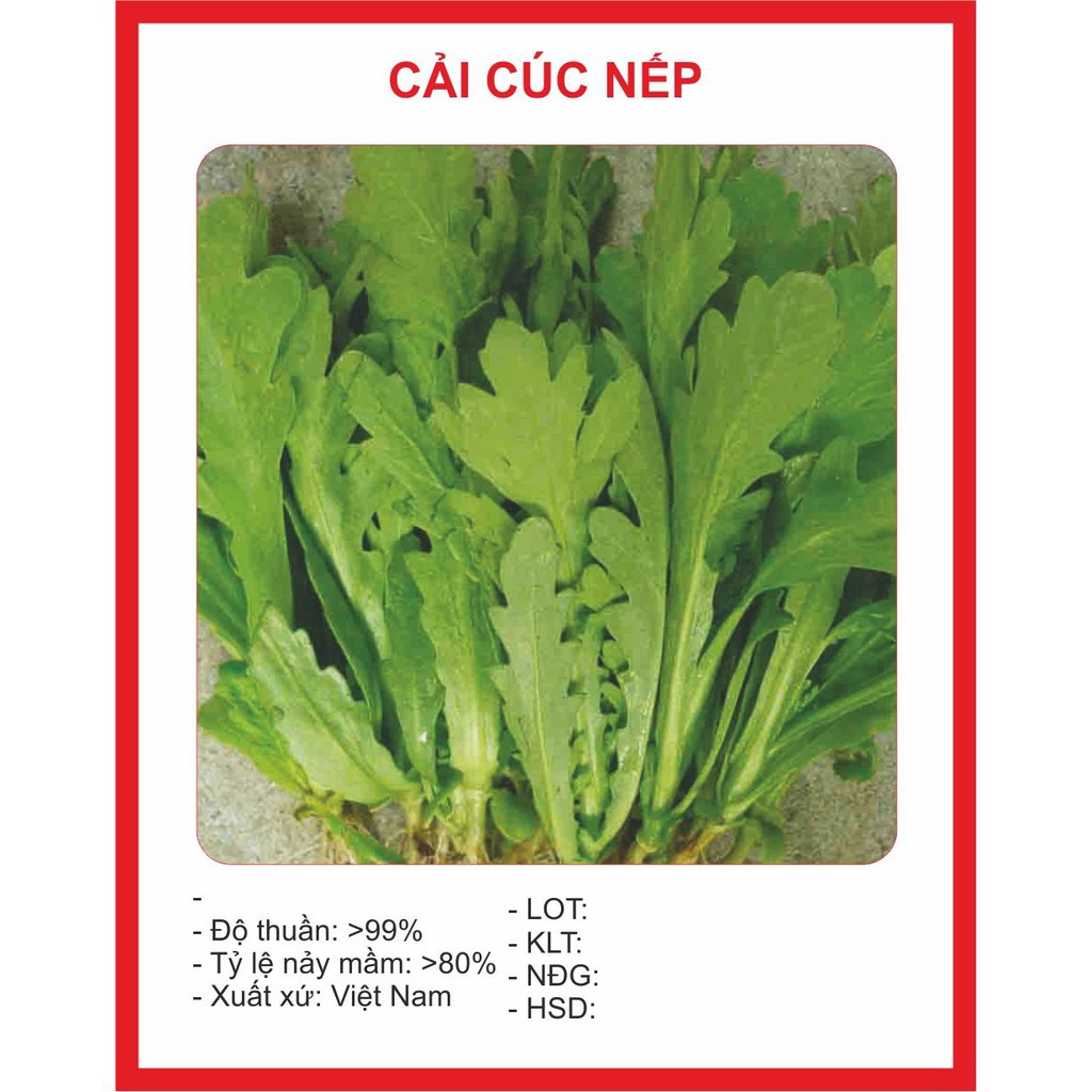 ( BOK GARDEN ) HẠT GIỐNG CẢI CÚC 20GR