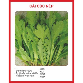 Hạt giống cải cúc 20gr