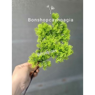 Cành Tùng nhựa làm cây Tùng-Cành Giả