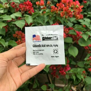 phân bón lá chuyên dụng cho hoa hồng và lan dạng viên nén