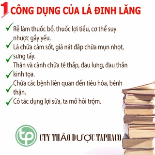 Lá đinh lăng sấy khô 500g - chuyên dùng để pha trà - nấu nước- hoặc dùng để nhồi gối ngủ ngon