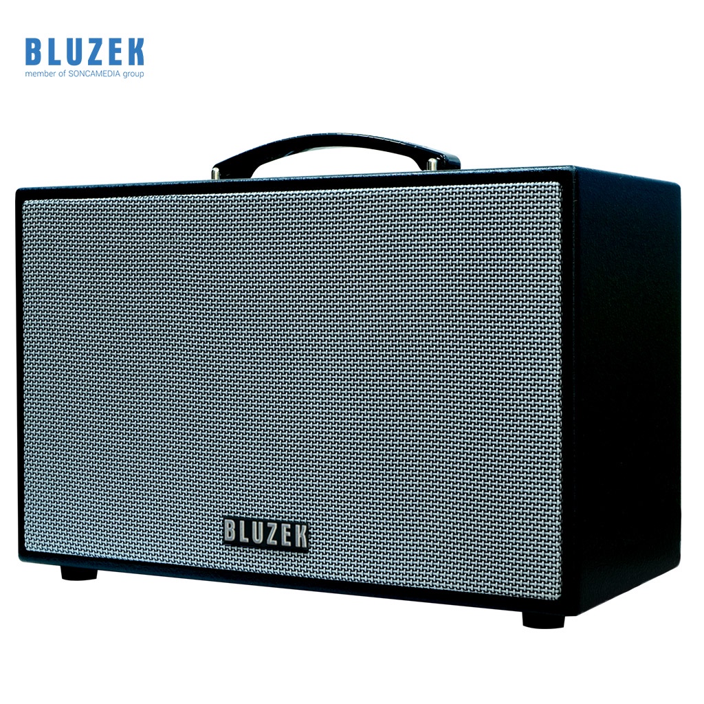 Loa karaoke mini xách tay BLUZEK BZ250SON