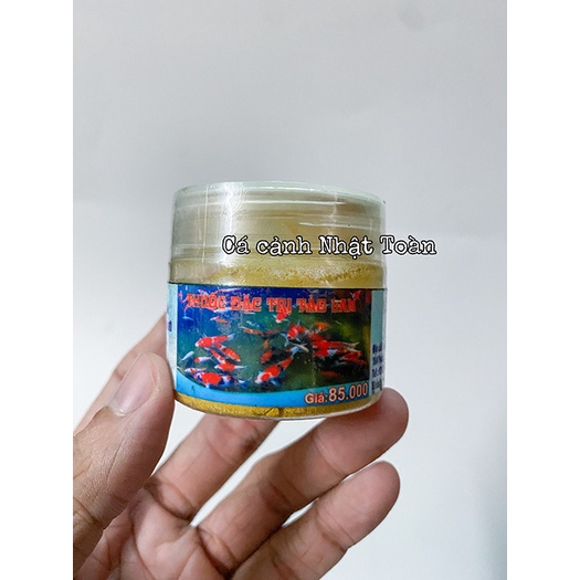 CHUYÊN DIỆT TẢO LAM AQUARIUM CÁ XINH