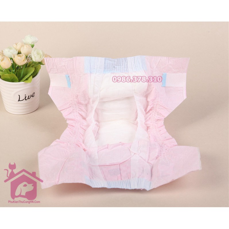 Bỉm cho chó mèo, tả cho chó CÁI DONO Disposale Diapers - Phụ kiện thú cưng Hà Nội