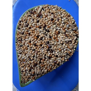 1kg Hạt trộn cho vẹt nhỏ(yến phụng, lovebird, bảy màu…)