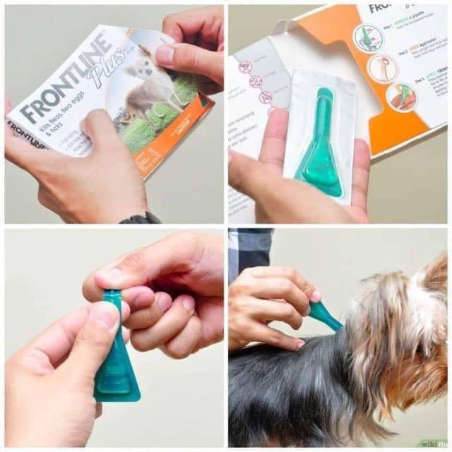 Frontline Plus For Dogs Nhỏ Gáy Phòng Và Trị Ve Rận Bọ Chét Cho Chó 10kg-20kg