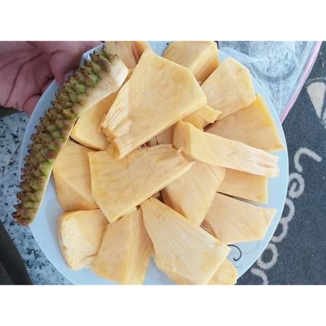 Mít không hạt