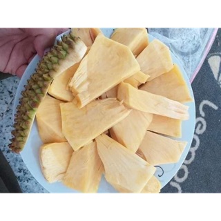 Mít không hạt