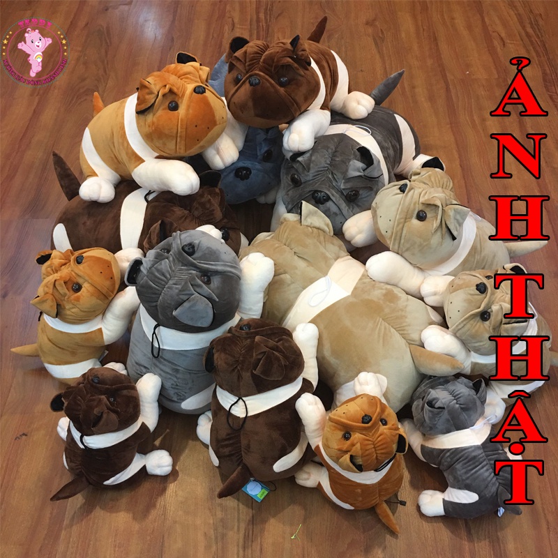 Gấu Bông Chó Nhăn Mặt Xệ Size 35Cm Nhiều Màu Sắc Chất Liệu Cao Cấp Nhồi Bông Gòn Trắng Tinh Khiết