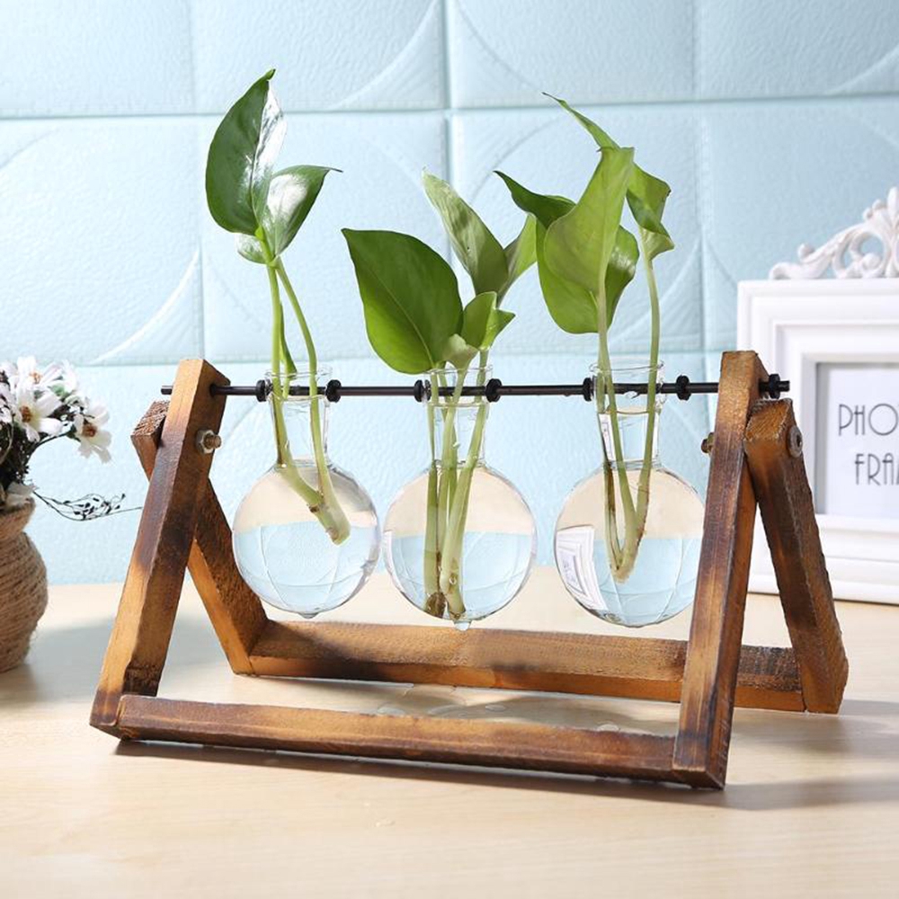 Bình hoa thủy tinh kèm đế gỗ độc đáo