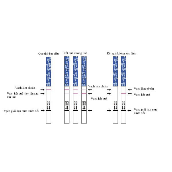 Que và bút thử thai QuickStick - Test thử thai phát hiện nhanh, chính xác [Chính hãng]