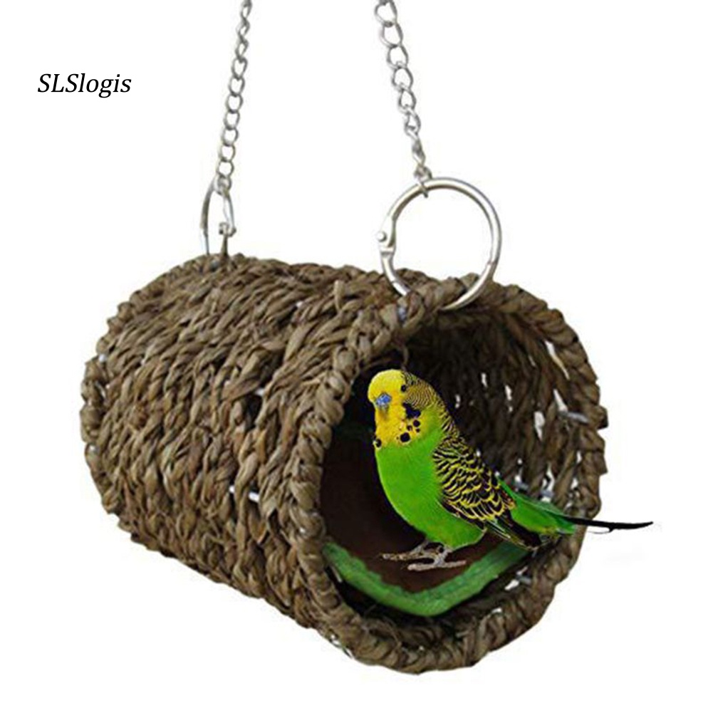 Set 3 Thang Leo Bằng Gỗ Nhiều Màu Sắc Dùng Làm Đồ Chơi Thú Vị Dành Cho Chim Vẹt / Chuột