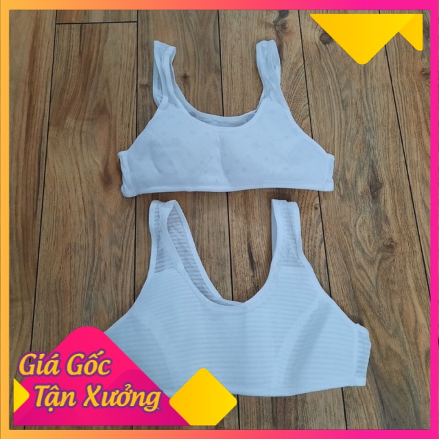 ABG006- ÁO LÁ CHO BÉ GÁI HÀNG DƯ XỊN VNXK ( 70AA / 80A  , 30-45kg)