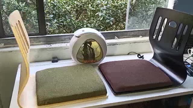 Ghế bệt gỗ kiểu nhật D227 ( Hàng nhập khẩu ) | BigBuy360 - bigbuy360.vn