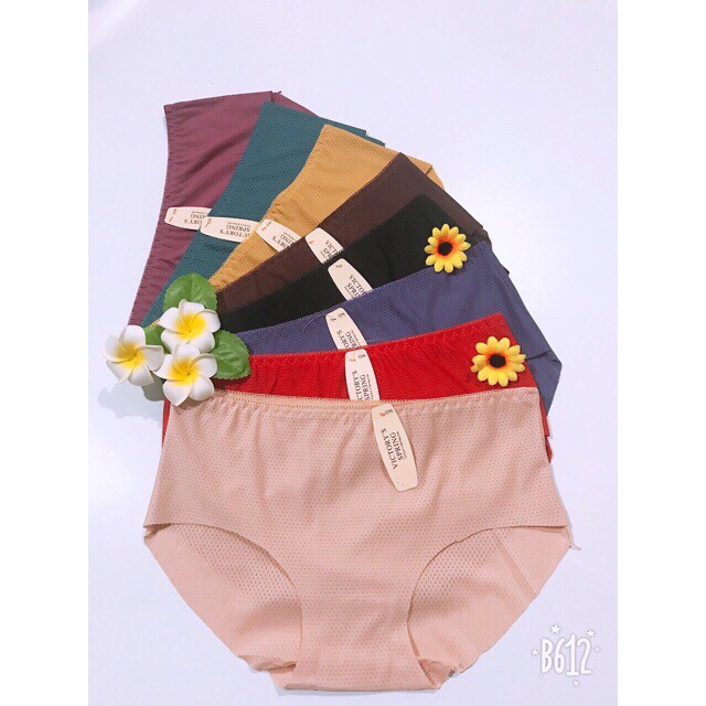 FREESHIP 99K_Quần chíp su thông hơi (Quần lót thông hơi)