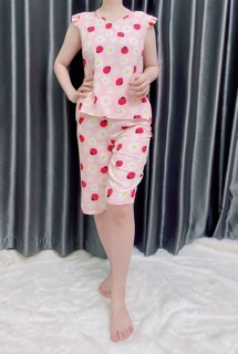 Bộ lanh cánh tiên